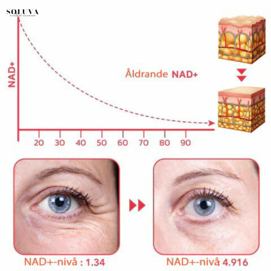 Alra Renewal Serum - hydraterende Anti-Aging Serum