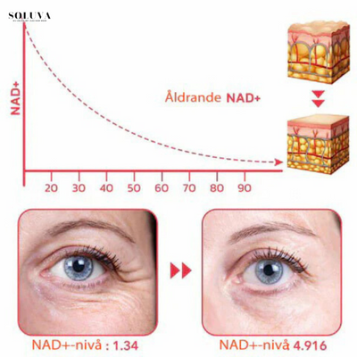 Alra Renewal Serum - hydraterende Anti-Aging Serum