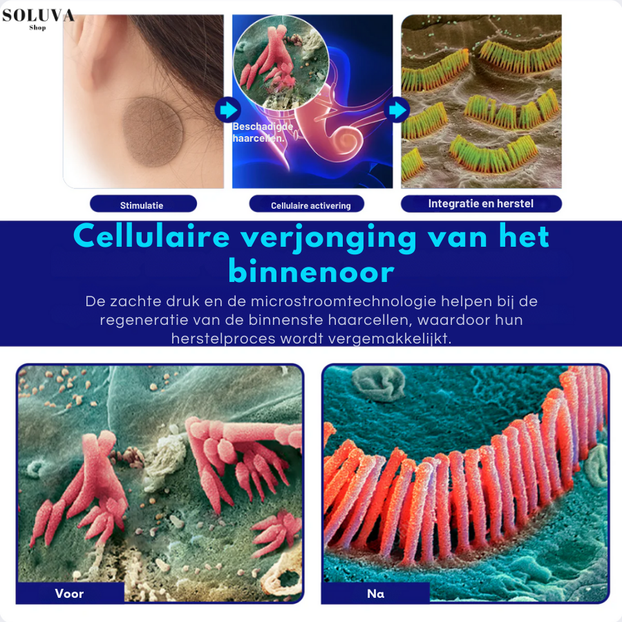 ZenEar – Verwijdert Oorsuizen & Herstelt Gehoor