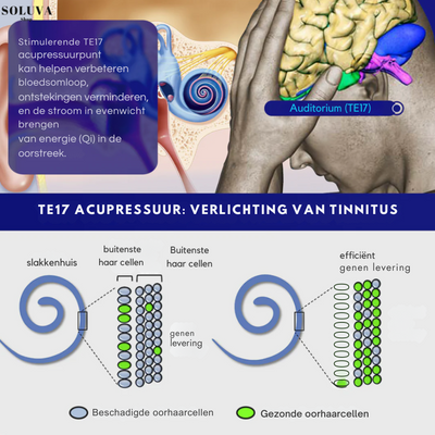 ZenEar – Verwijdert Oorsuizen & Herstelt Gehoor