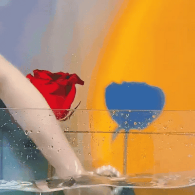 Zijdezachte Support Bh - 1+1 Gratis!